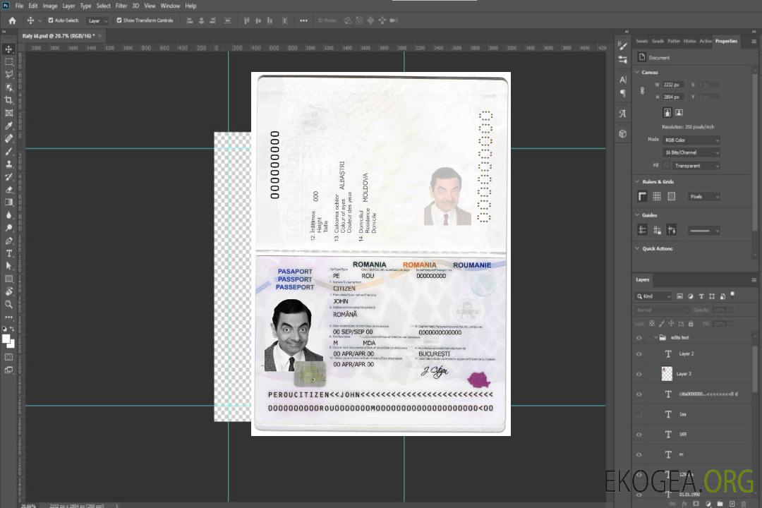 Passeport roumain template